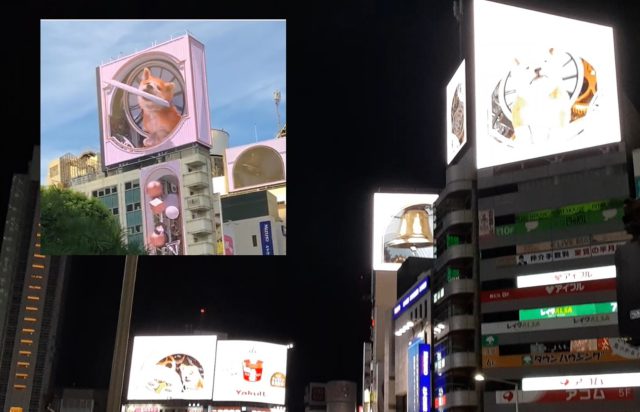 ～渋谷にでっかい３D子犬　ハチ公出現～　街の大型サイネージは、自らロケーション価値を生み出す方向に進むのか？